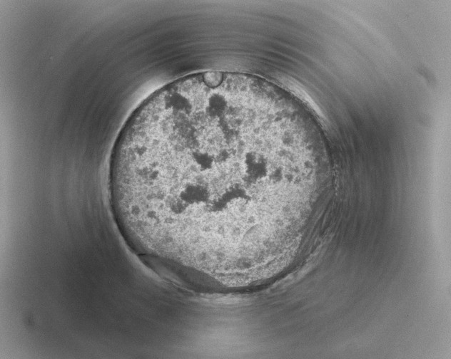 X0000116551087201001071111