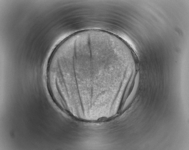 X0000116551088201001071111