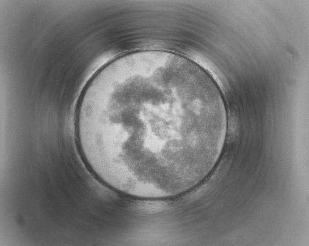 X0000116551090201001071111