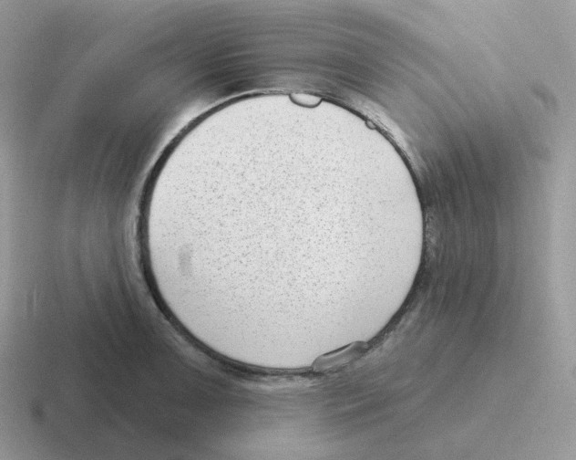 X0000116551091201001071111