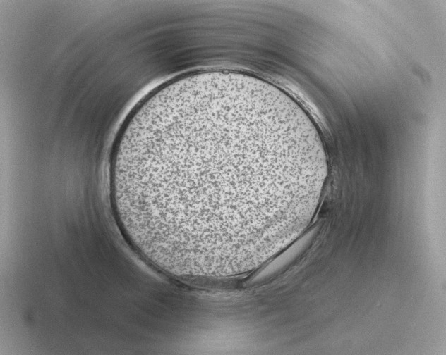 X0000116551092201001071111