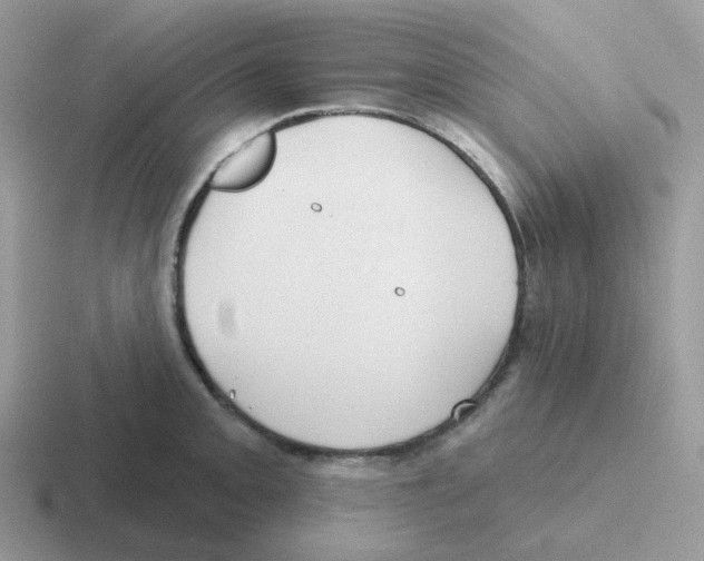 X0000116551093201001071111