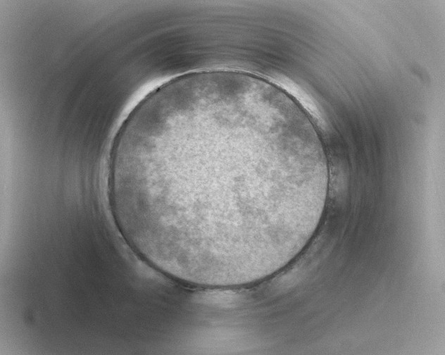 X0000116551094201001071111