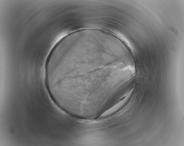 X0000116551095201001071111