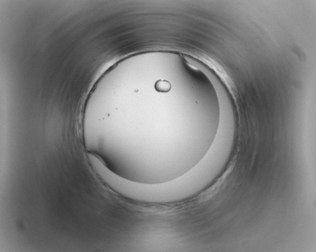 X0000116551097201001071111