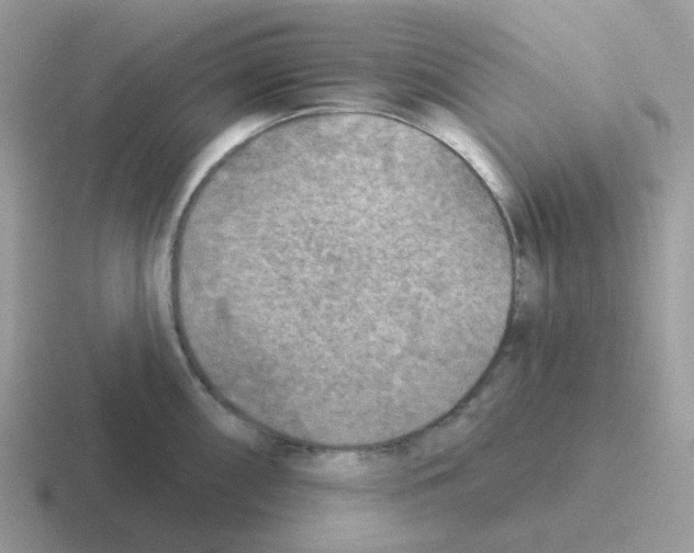 X0000116551098201001071111