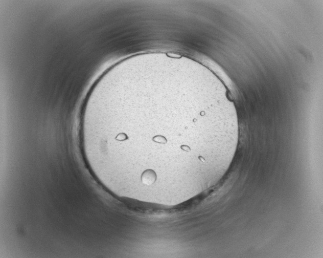 X0000116551099201001071111