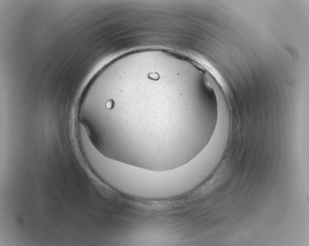 X0000116551101201001071111