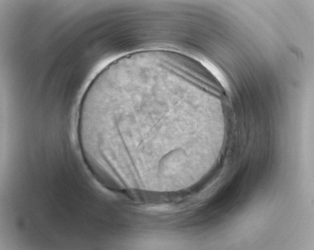 X0000116551102201001071111