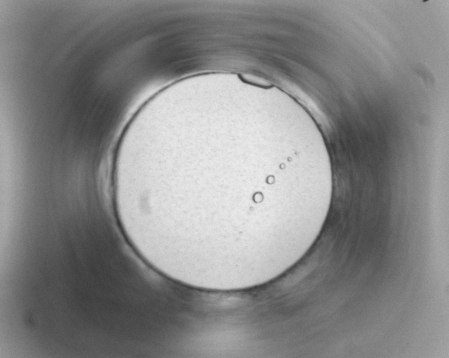 X0000116551103201001071111