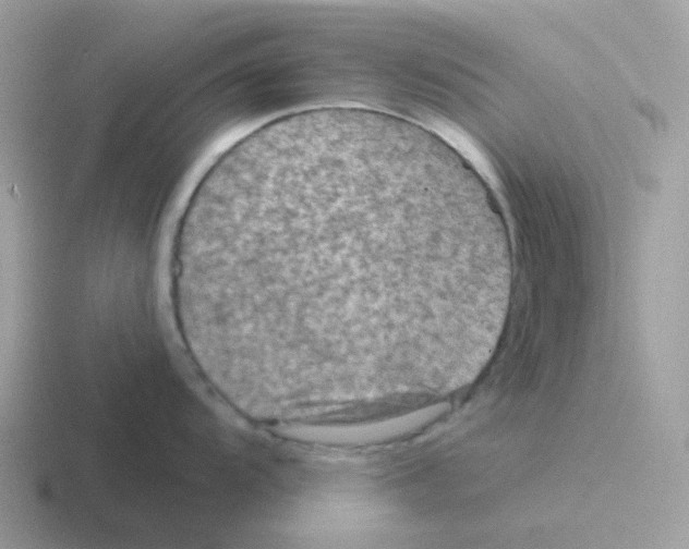 X0000116551104201001071111