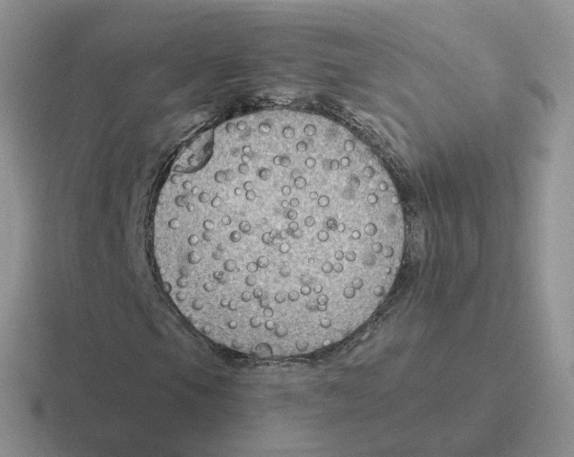 X0000116551105201001071110