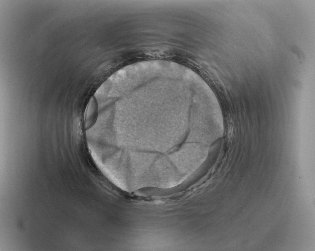 X0000116551106201001071110