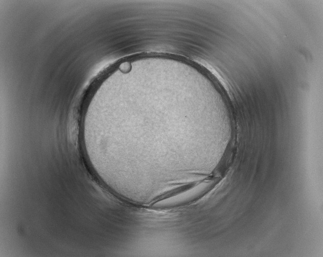 X0000116551115201001071110