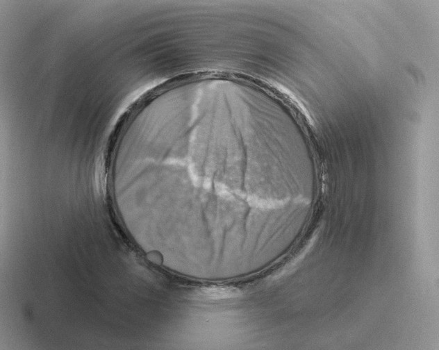 X0000116551117201001071110