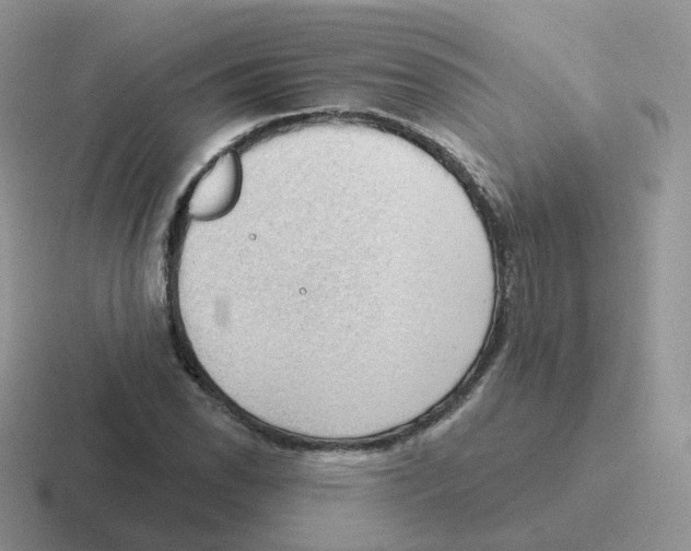 X0000116551118201001071110