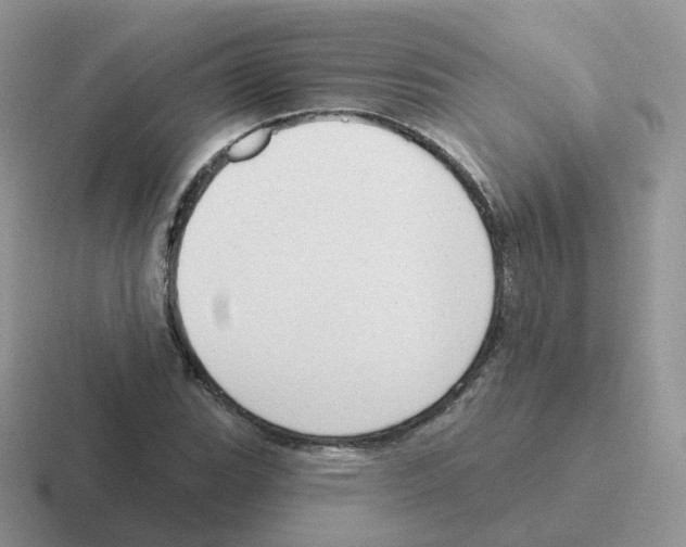 X0000116551119201001071110