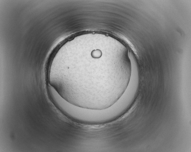 X0000116551122201001071110