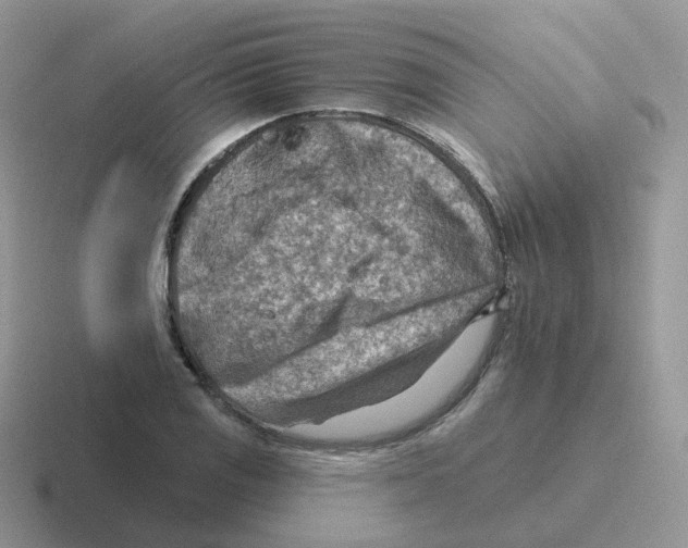 X0000116551125201001071110