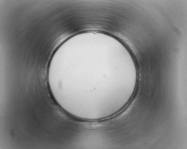 X0000116551129201001071110