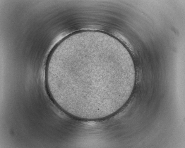 X0000116551130201001071110