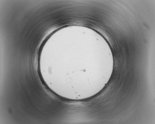 X0000116551131201001071111