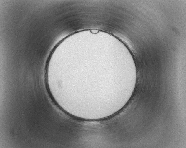 X0000116551135201001071111