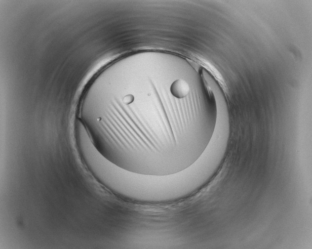 X0000116551138201001071111