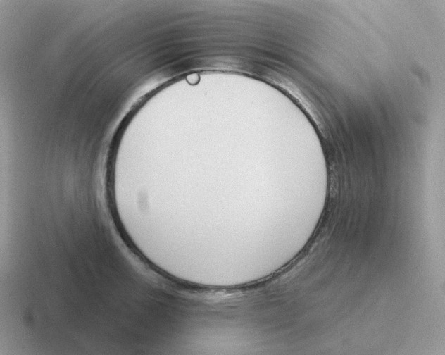 X0000116551139201001071111