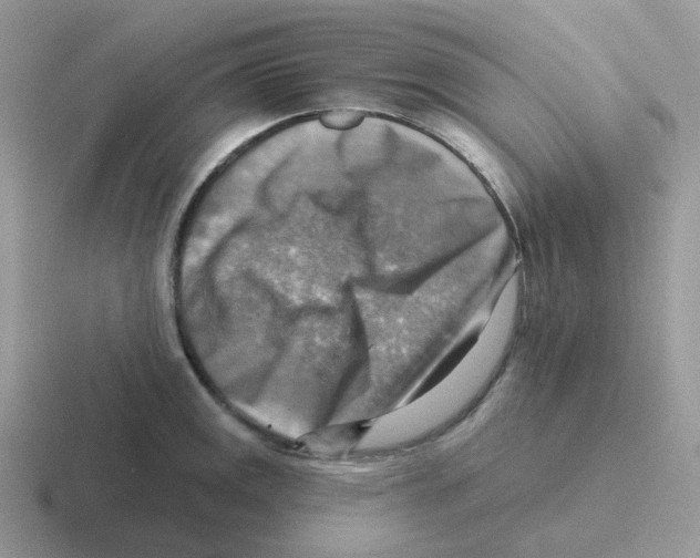 X0000116551141201001071111