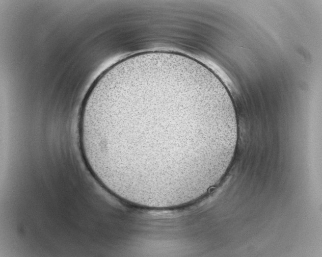 X0000116551142201001071111