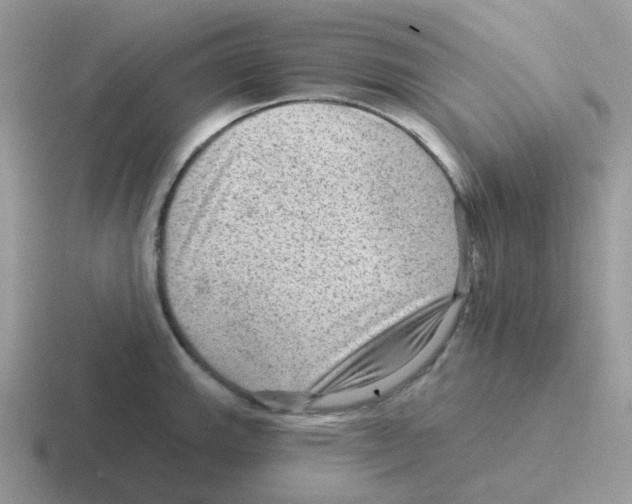 X0000116551143201001071111