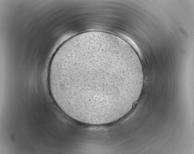 X0000116551146201001071111