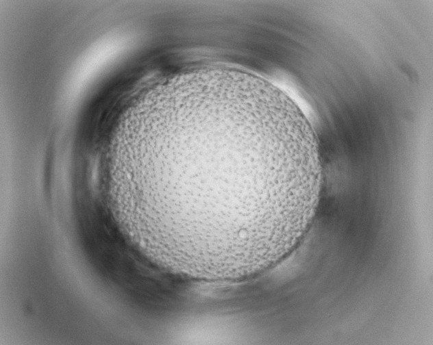 X0000116551150201001071111