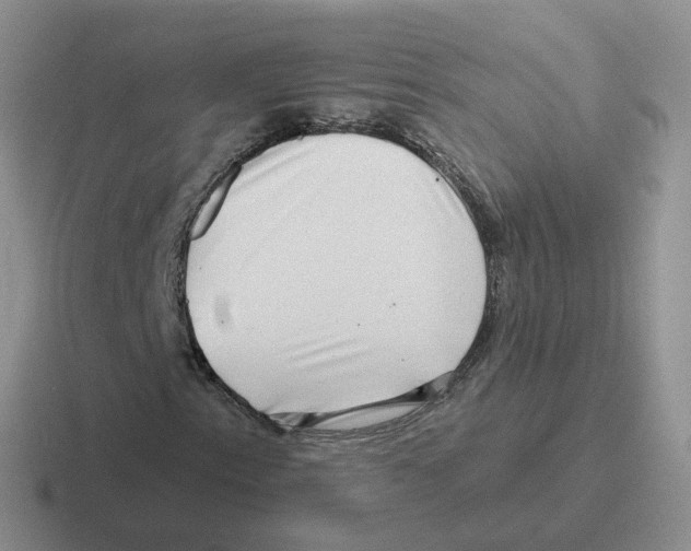 X0000116551153201001071110