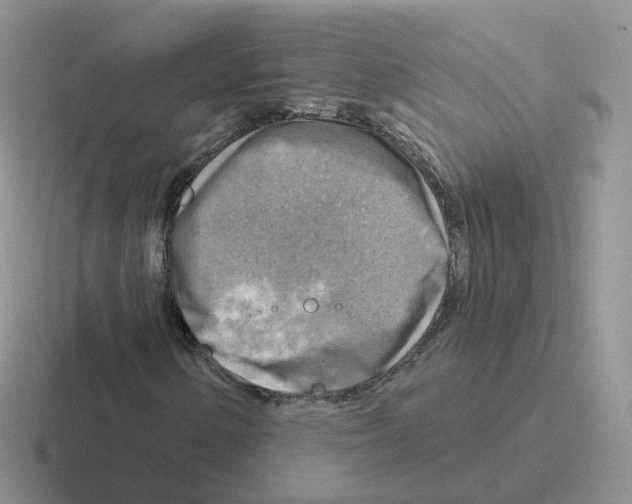 X0000116551154201001071110