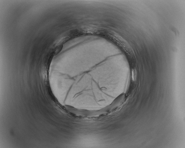 X0000116551155201001071110