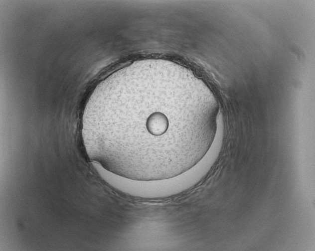 X0000116551157201001071110