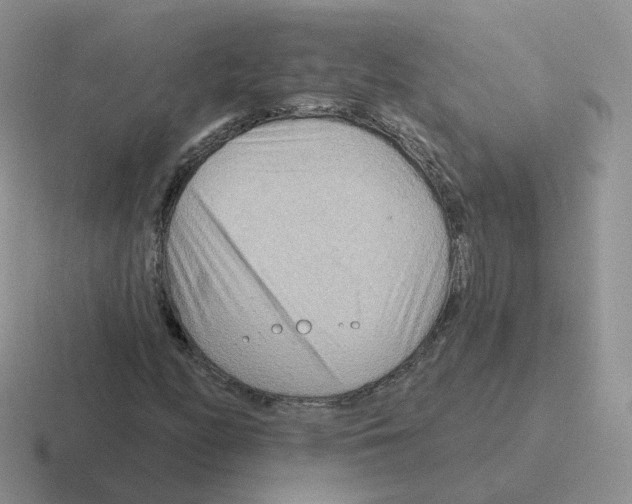 X0000116551158201001071110