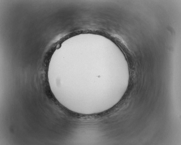 X0000116551159201001071110