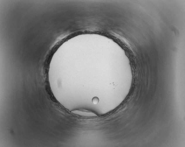 X0000116551160201001071110