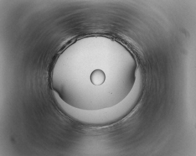 X0000116551161201001071110