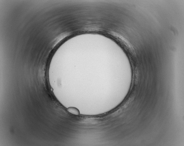 X0000116551162201001071110