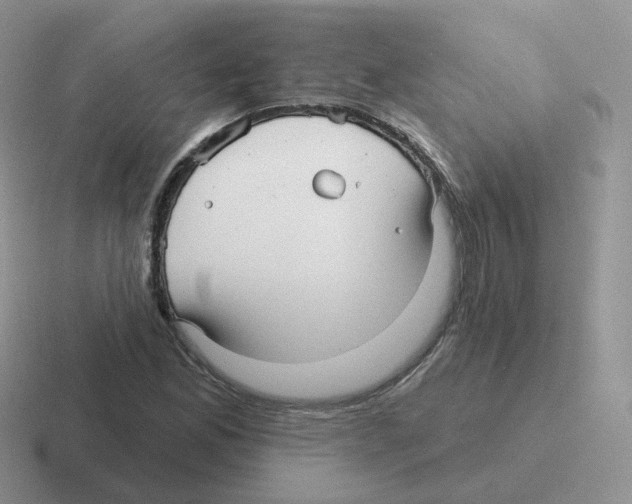 X0000116551165201001071110