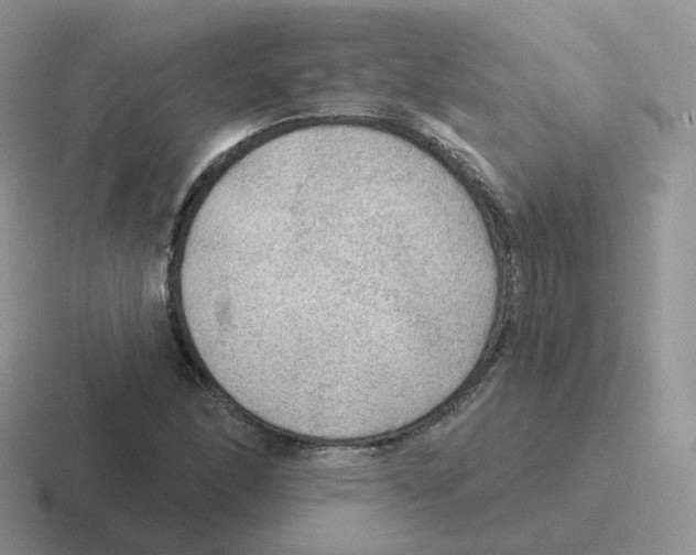 X0000116551166201001071110