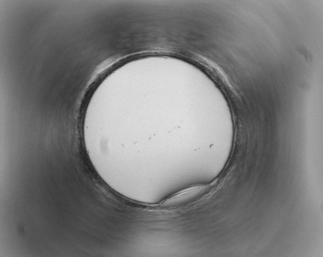 X0000116551168201001071110