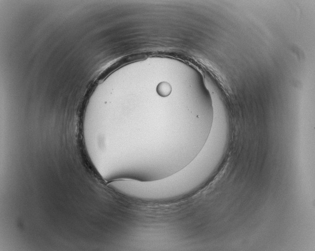 X0000116551169201001071110