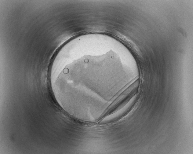 X0000116551170201001071110