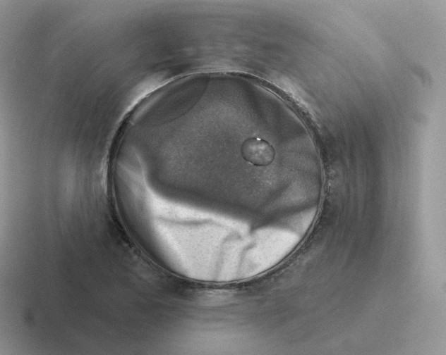 X0000116551173201001071110