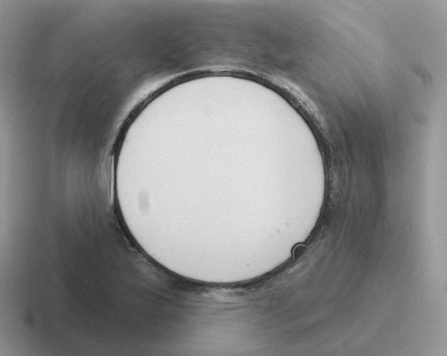 X0000116551175201001071110